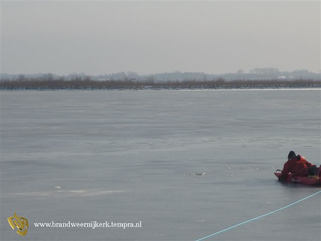 en weg was de zwaan